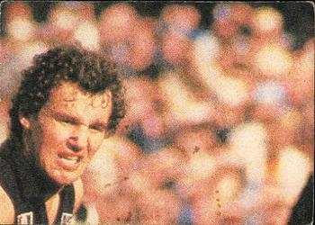 1980 Scanlens VFL #117 Terry Wheeler Back
